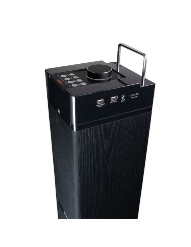 Aiwa TS - 990CD Ηχείο Multimedia