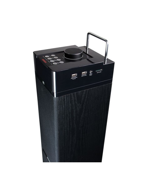 Aiwa TS - 990CD Ηχείο Multimedia