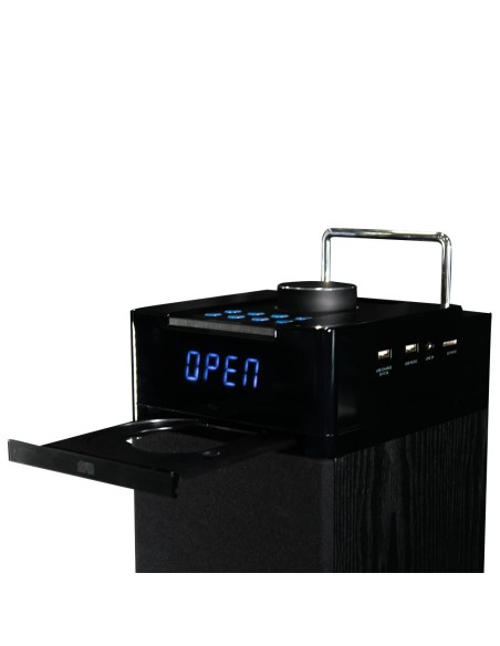 Aiwa TS - 990CD Ηχείο Multimedia