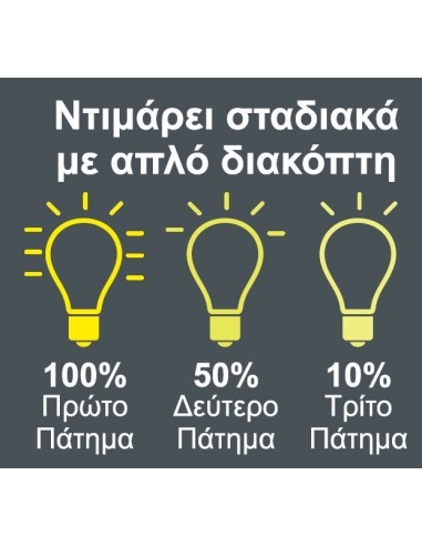 Ecolight 8064 Λάμπα Fil LED Amber Α60  6W E27 3...