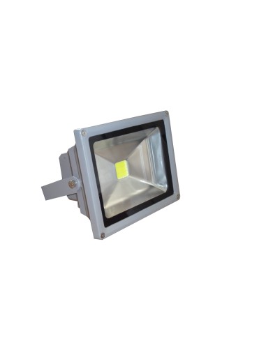 Ecolight  TG007 Προβολέας LED 30W