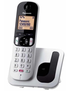 Panasonic KX-TGC 250GRS Τηλέφωνο Ασημί