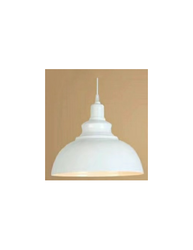 Raytech Power 7449 Κρεμαστό φωτιστικό HL-001 Άσπρο