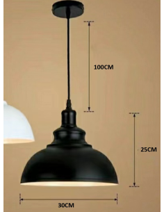Raytech Power 7432 Κρεμαστό φωτιστικό HL-002 Μαύρο 2