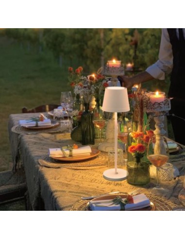 Raytech Power 8699 RTC9 Επαναφορτιζόμενο...