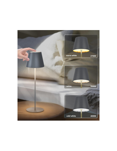 Raytech Power 5001 Επαναφορτιζόμενο φωτιστικό 4...