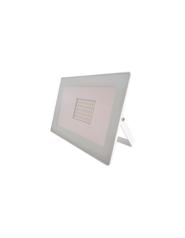 Ecolight FL100 προβολέας LED 100W fl01-100w