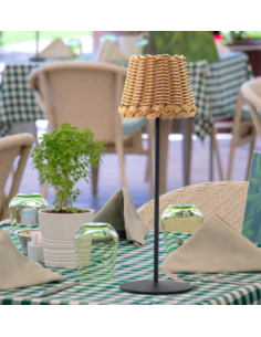 Raytech Power 1515 Επαναφορτιζόμενο Φωτιστικό PE Rattan 2