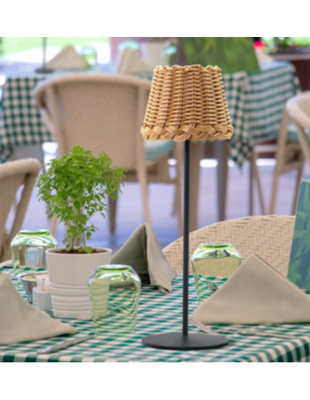 Raytech Power 1515 Επαναφορτιζόμενο Φωτιστικό PE Rattan