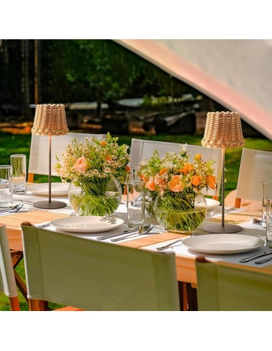 Raytech Power 1515 Επαναφορτιζόμενο Φωτιστικό...