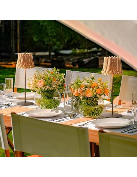 Raytech Power 1515 Επαναφορτιζόμενο Φωτιστικό PE Rattan