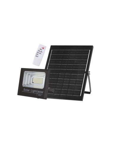 Raytech Power 9405 65W Ηλιακός Προβολέας LED Με...