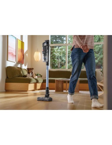 Bissell 4090N PowerClean FurFinder Select