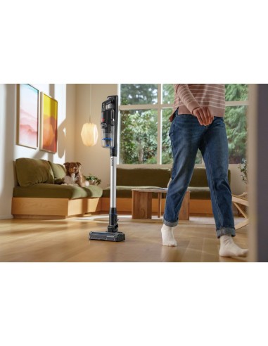 Bissell 4093N PowerClean FurFinder FurGuard Select