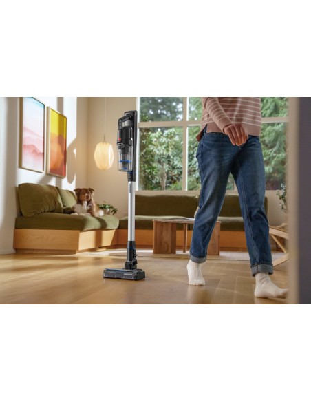 Bissell 4093N PowerClean FurFinder FurGuard Select